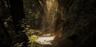 Un Sentier de Lumière