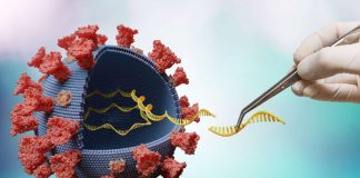 Ils ont Fait leur Choix