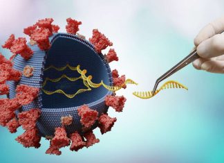 Ils ont Fait leur Choix