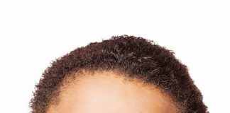 Le Créateur – Anticipation