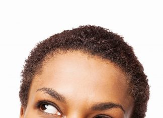 Le Créateur – Anticipation