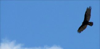 Embrasser la Mort et la Résurrection