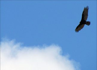 Embrasser la Mort et la Résurrection