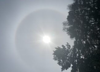 Message aux Travailleurs de Lumière – 23 avril 2021