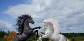 Deux réalités se chevauchent actuellement !