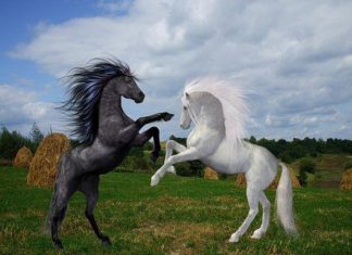 Deux réalités se chevauchent actuellement !