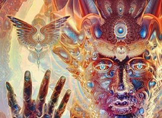 Le Combat pour la Liberté a Commencé. Levez-vous, Humanité, et Reprenez votre Pouvoir.