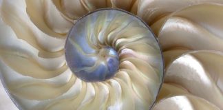 Le Créateur – Retour à la Source