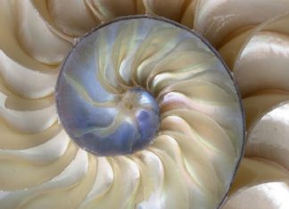 Le Créateur – Retour à la Source