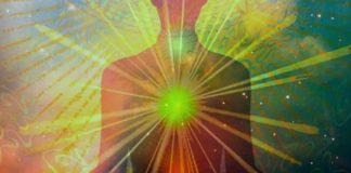 Conseil de Lumière : Devenir entier