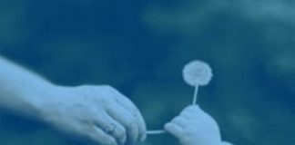 Le Créateur – Donner