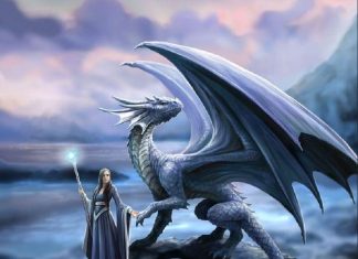 Votre Pleine Puissance