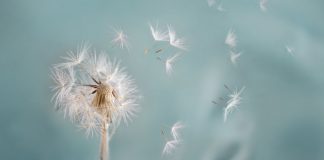 Tendre la main à tes peurs