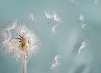 Tendre la main à tes peurs