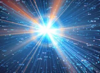 Message du Créateur : Le Dernier Appel au Réveil