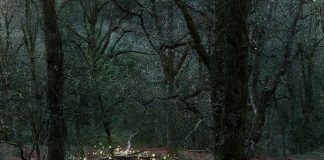 Le Créateur – Laissez la Magie…