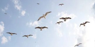 En Conscience, Échappez-vous de la Matrice