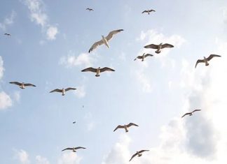 En Conscience, Échappez-vous de la Matrice