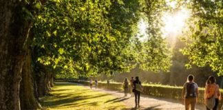 Un Message sur la Santé Planétaire