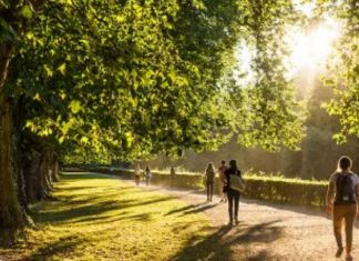 Un Message sur la Santé Planétaire