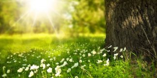 Avril 2021 : Ressourcement !