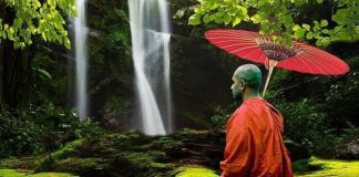 Le Créateur – Ralentissement