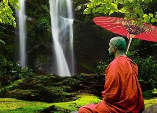 Le Créateur – Ralentissement