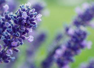 Vous conduire hors de ce monde