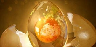 Parce que si tu n’oses pas, tu ne sauras pas…