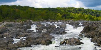 Plus le flux est fort, plus les sentiments sont forts