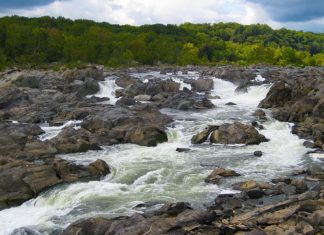 S’aligner sur le flux d’Amour