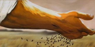 Plantez vos Semences de Lumière et d’Amour