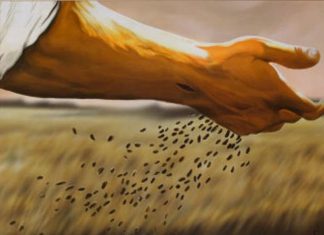 Plantez vos Semences de Lumière et d’Amour