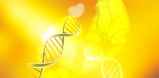 Affirmez-vous et trouvez votre indépendance Vibratoire