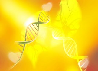 Affirmez-vous et trouvez votre indépendance Vibratoire