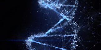 Fédération Galactique: La Ligne de Temps 3D est en Train d’Expirer. Nous Sommes Témoins de son Effondrement Total