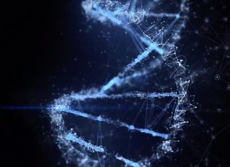 Fédération Galactique: La Ligne de Temps 3D est en Train d’Expirer. Nous Sommes Témoins de son Effondrement Total