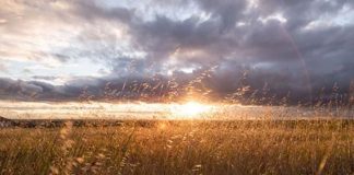 ACCEPTEZ DE PERDRE LE CONTRÔLE