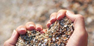 Le Créateur – N’oubliez pas votre Humanité