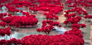 Le Créateur – Se connecter et partager