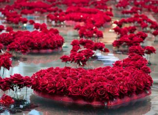 Le Créateur – Se connecter et partager