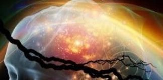 La Conscience Unifiée sur la Terre