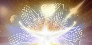 Guérir le coeur et accepter de changer