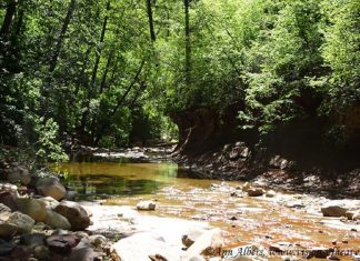 Les courants de la Grâce