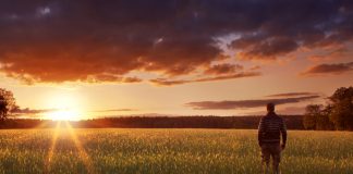 Le Créateur – L’observateur