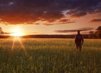 Le Créateur – L’observateur