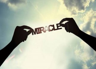 Le Créateur – Miracles