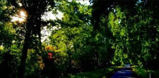 Message aux Travailleurs de Lumière – 21 mai 2021