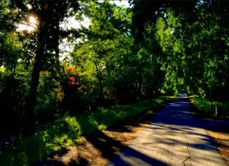 Message aux Travailleurs de Lumière – 21 mai 2021