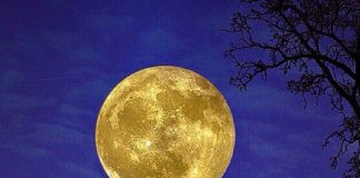 Grand Directeur Divin : Salutations !